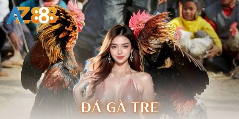  Kinh nghiệm chơi cá cược đá gà tre