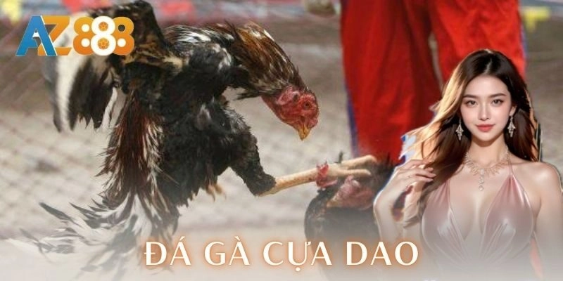 Tại sao chọn nền tảng để cá cược